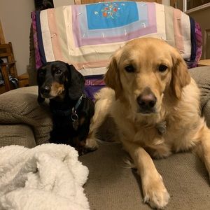 Meet your Posher, Heather